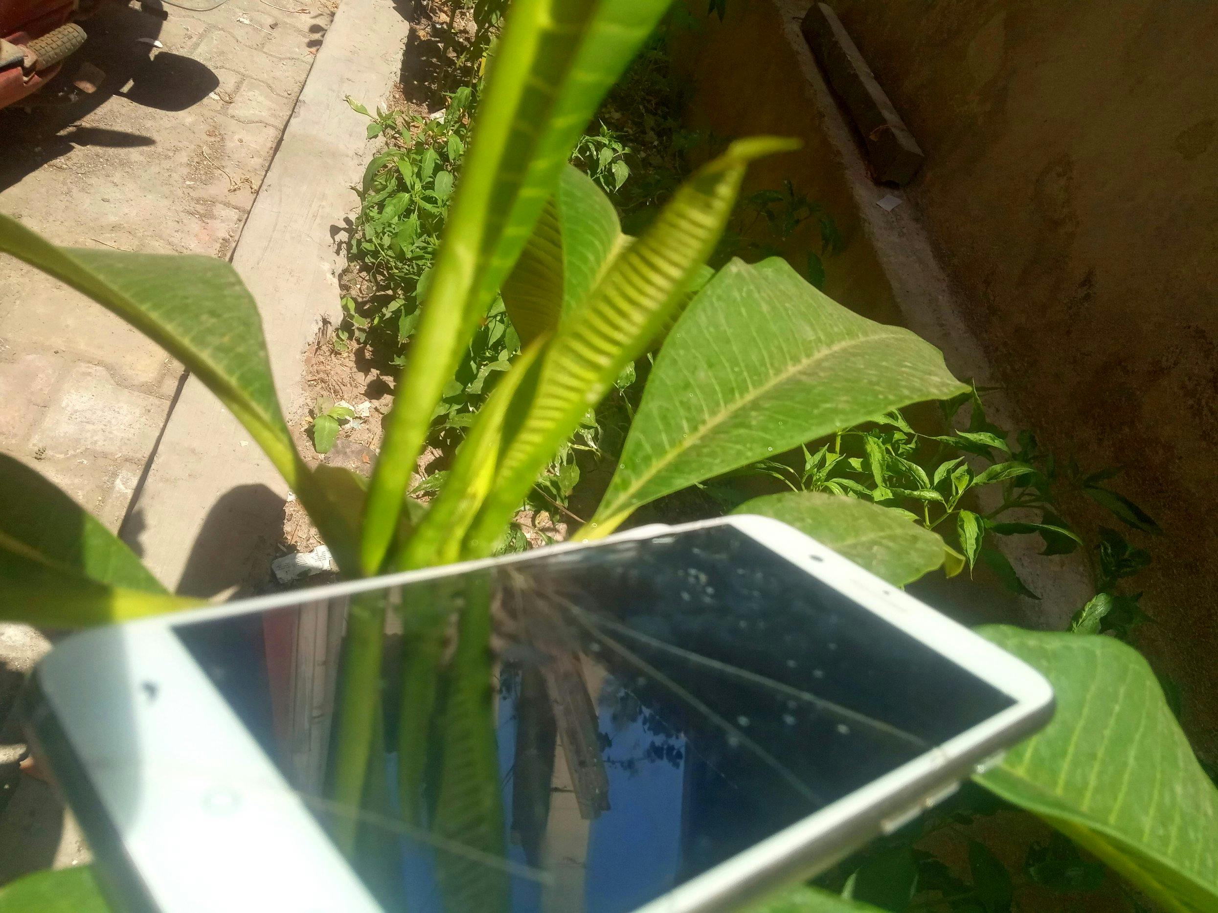 Person cleaning and disinfecting surfaces at home