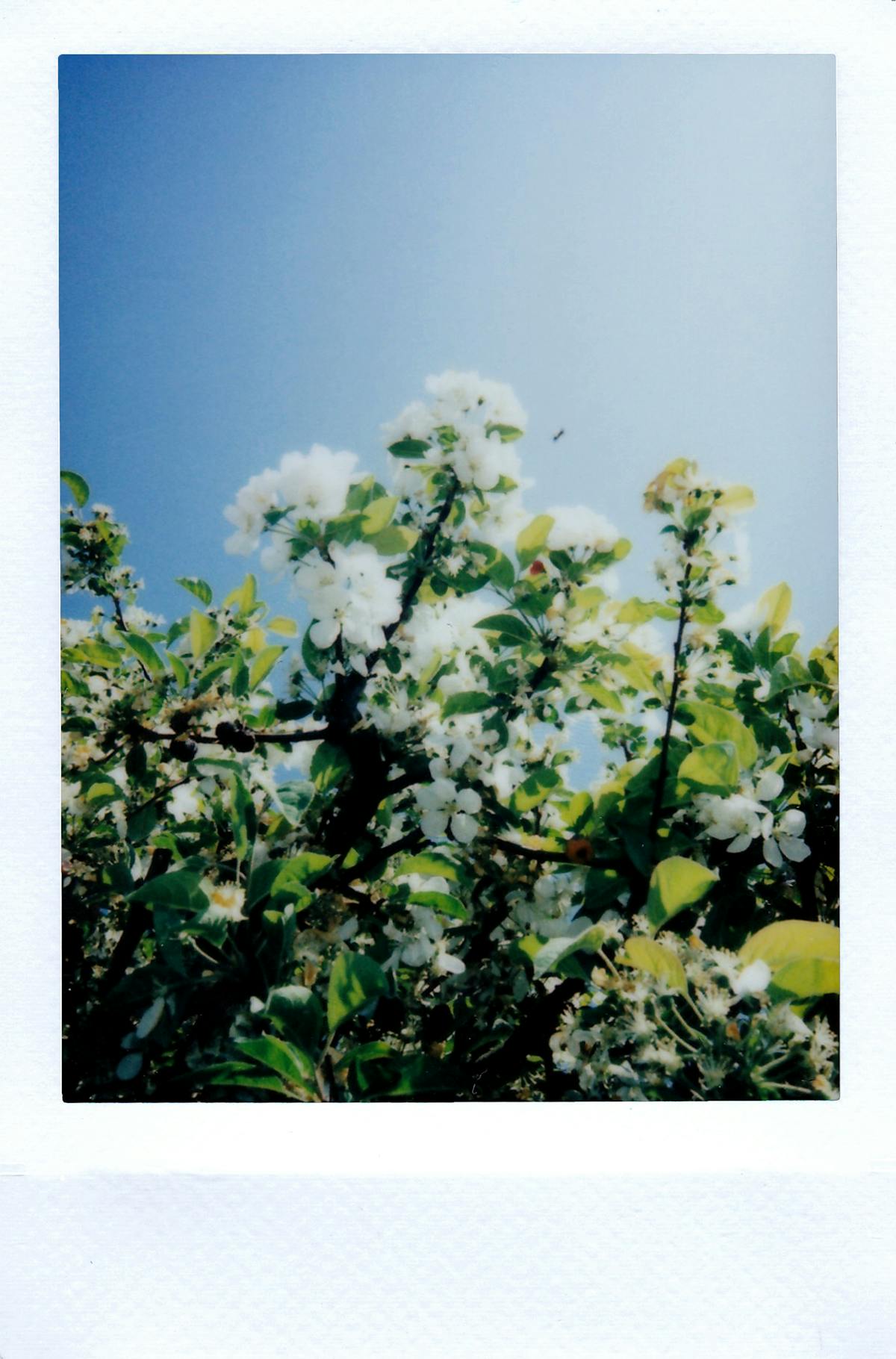 Equipo
 
de
 
limpieza
 
del
 
hogar
 
en
 
un
 
piso
 
familiar