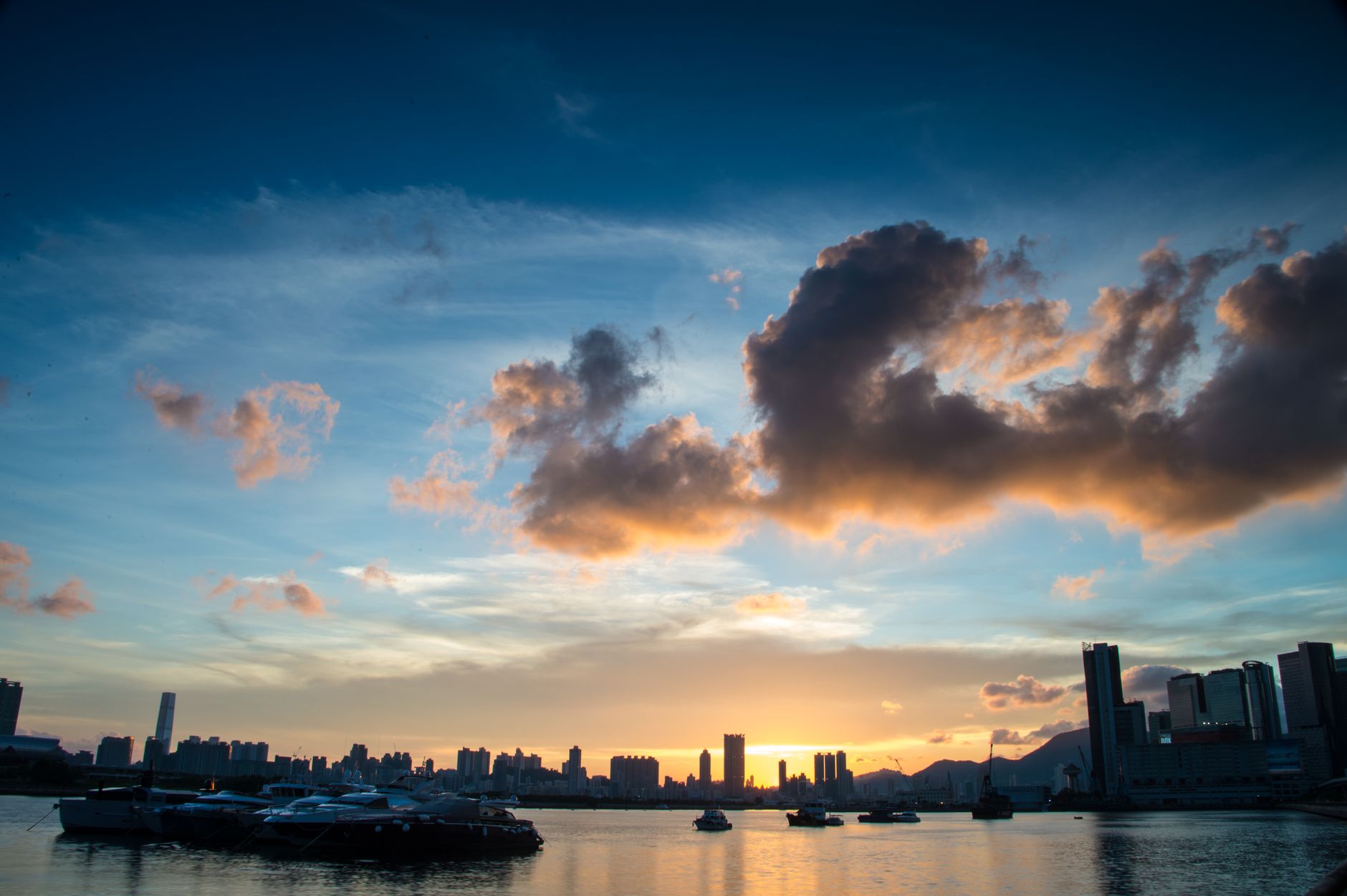 A Hong Kong racecourse at sunrise, horses entering the paddock, misty grandstand atmosphere