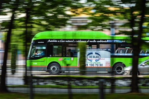 Zielony Autobus