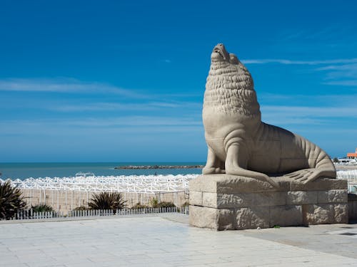 Darmowe zdjęcie z galerii z beton, mar del plata, monumento lobos marino