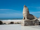 Close-Up Shot of Monumento Lobos Marino in Mar del Plata