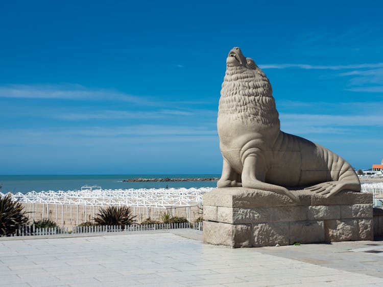 Close-Up Shot Of Monumento Lobos Marino In Mar Del Plata