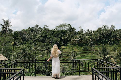 Back View of Blonde Woman on a Terrace Looking at Green Tropical Forest
