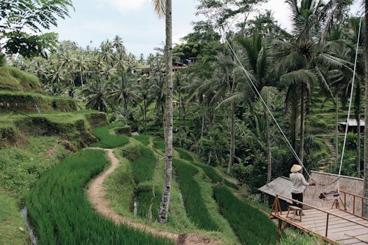 A scenic view of tropical terraced rice fields with a farmer in traditional attire.