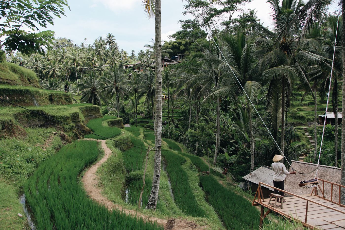 Ubud Full Day Tour 3