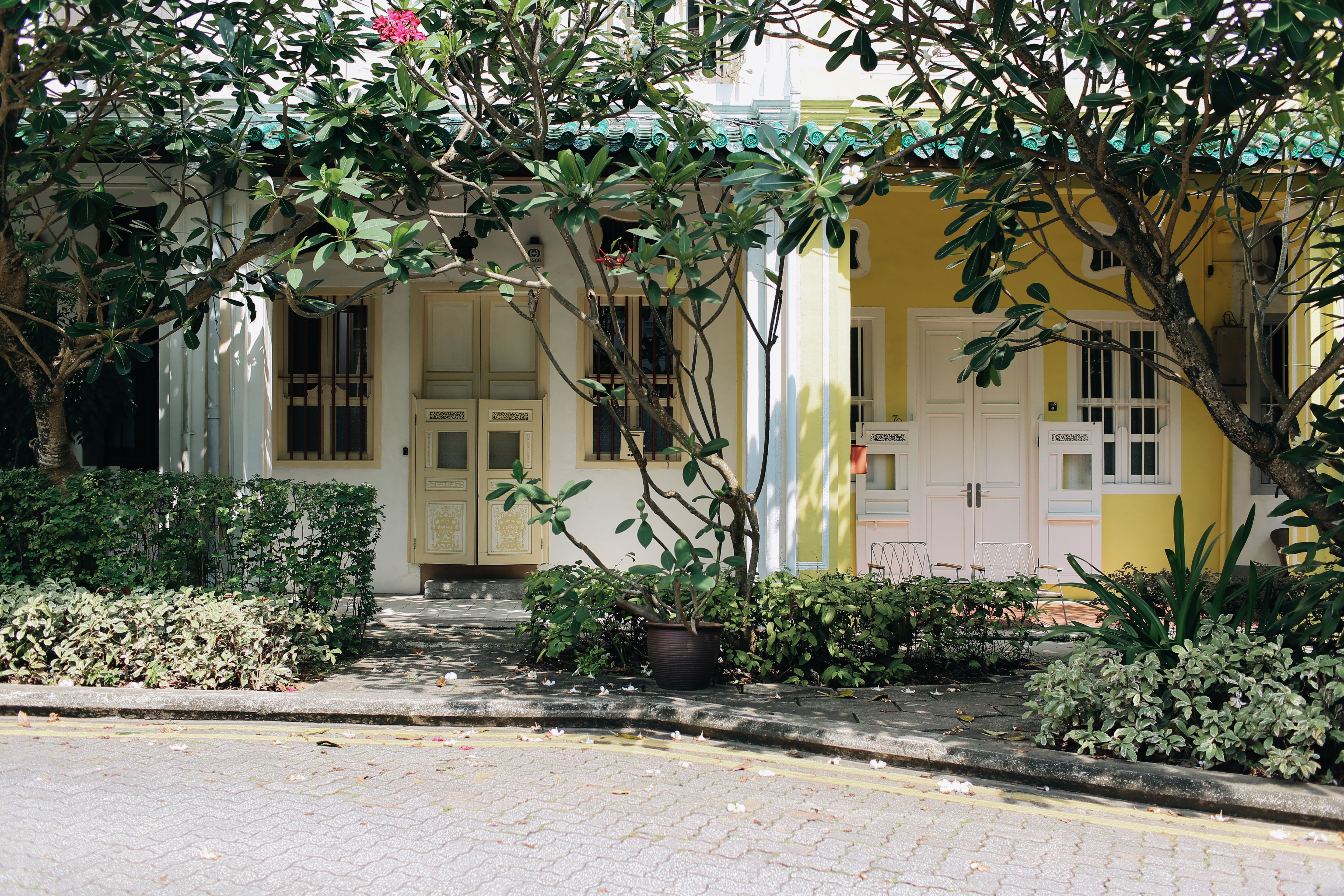 mortgage rates credit score — Photo by alleksana on Pexels