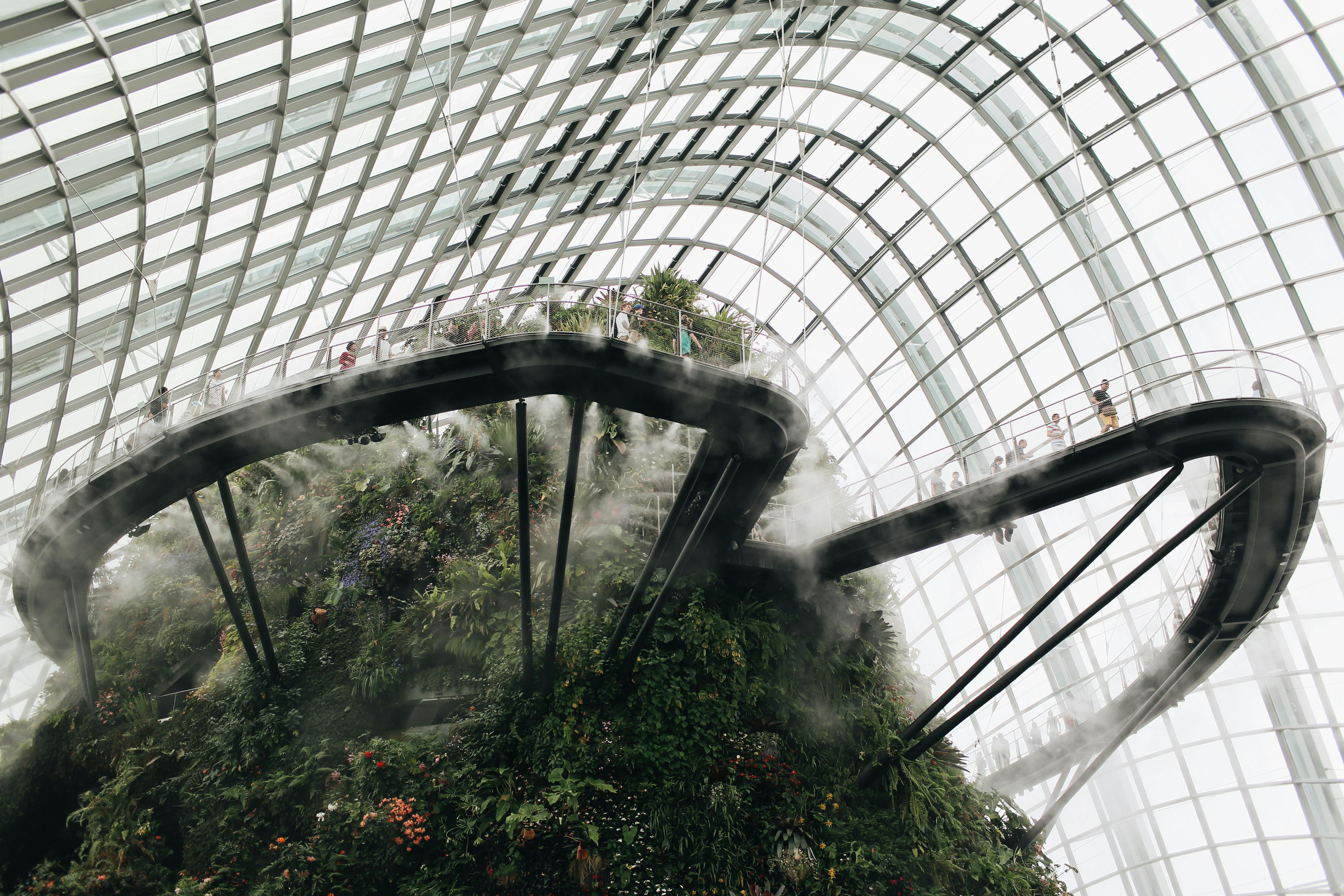 low angle shot of gardens by the bay