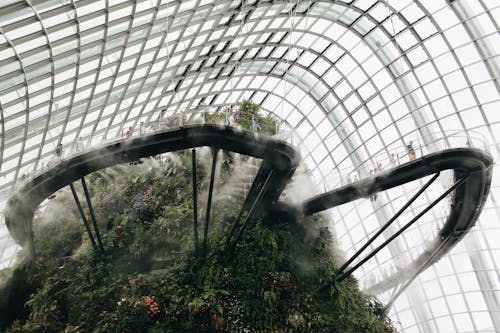 Free Low Angle Shot of Gardens By the Bay Stock Photo