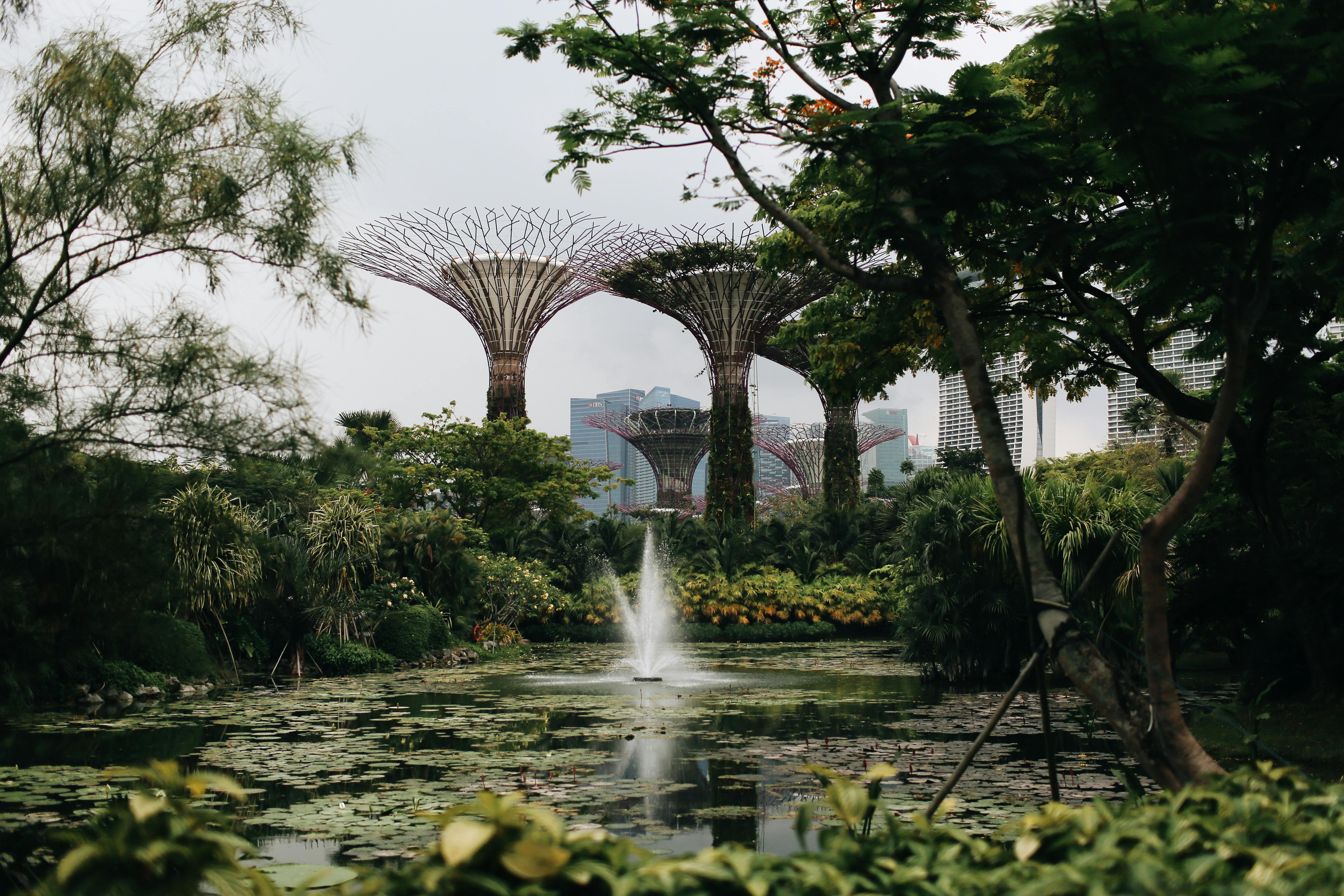 Water Fountain Near Green Trees · Free Stock Photo
