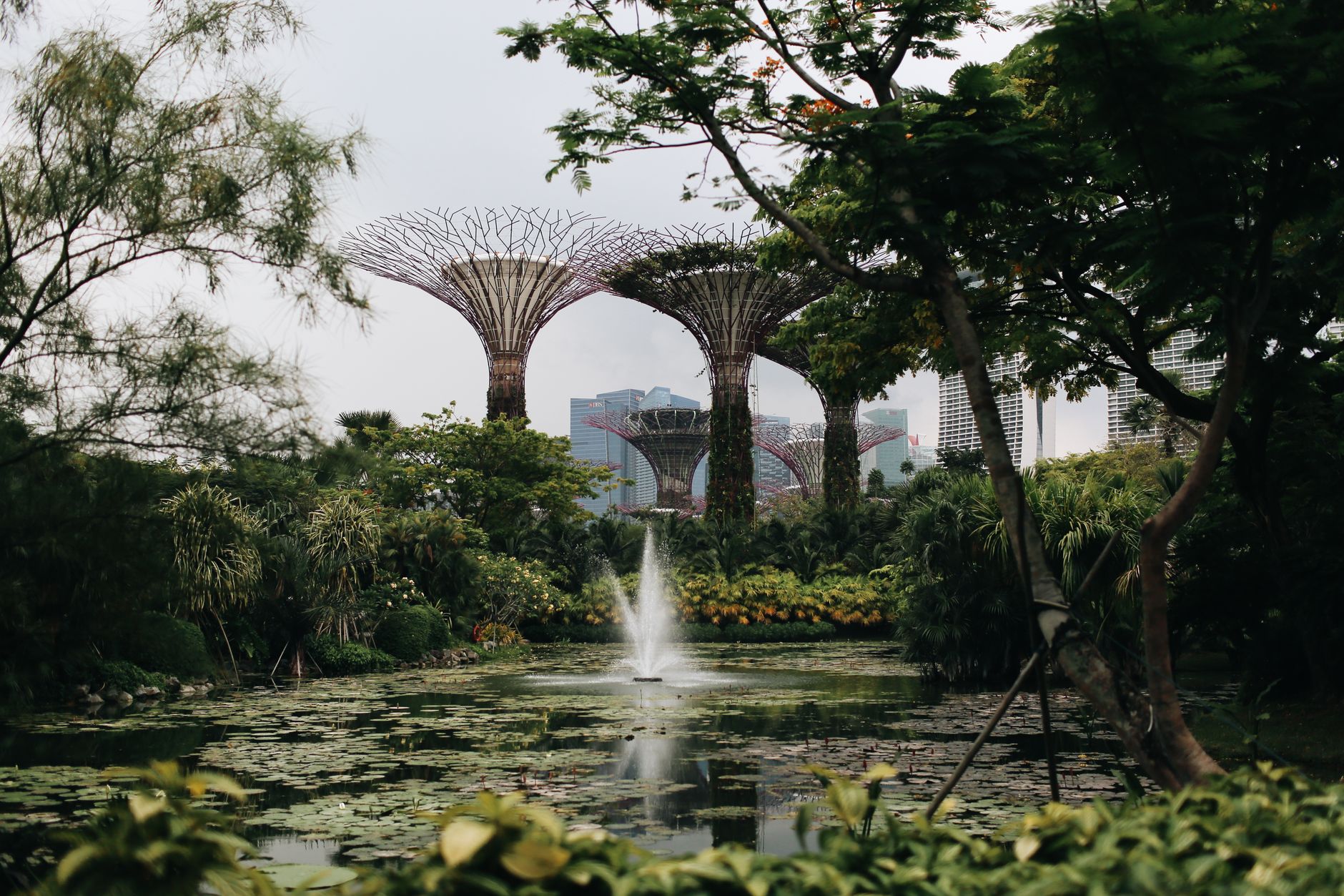 Gardens by the Bay