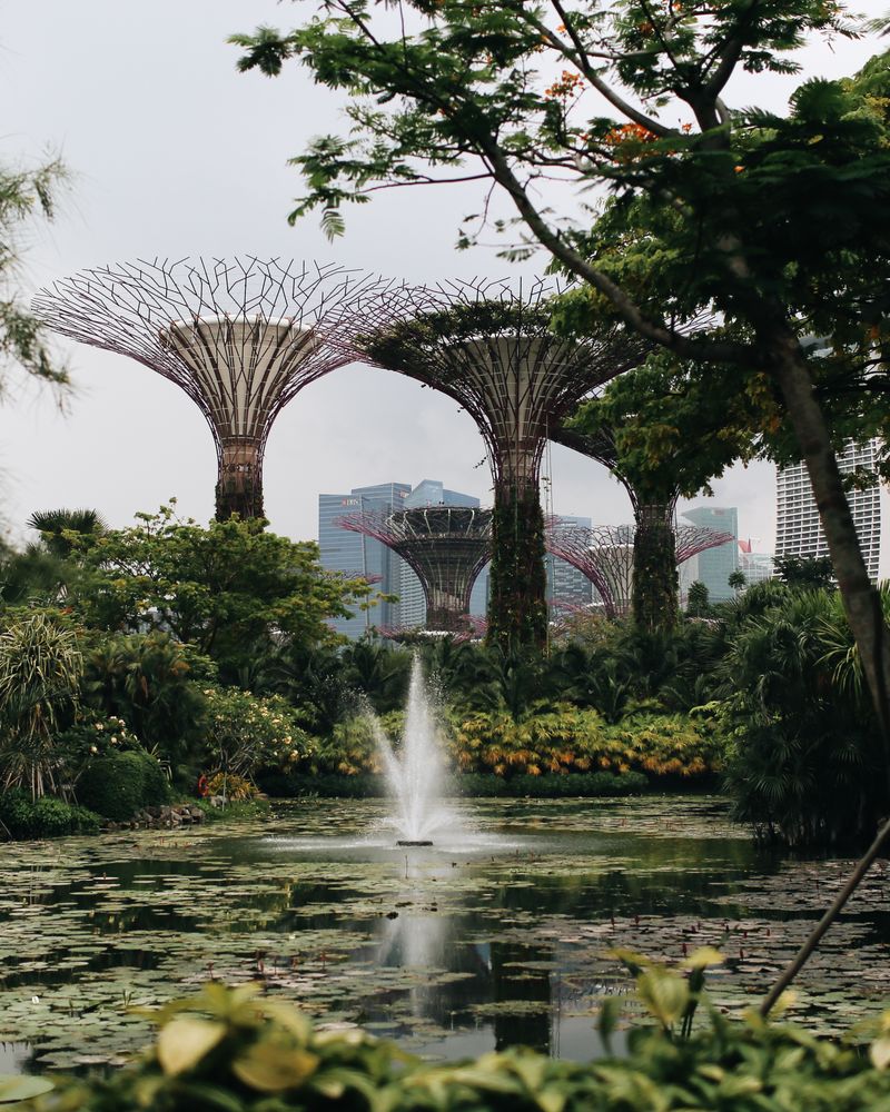 Supertree Grove and pond at Gardens by the Bay, Singapore