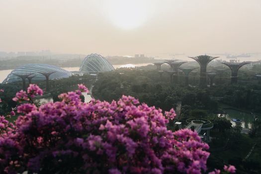gardens by the bay