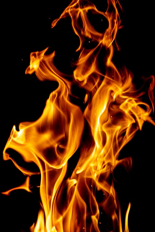 Foto profissional grátis de calor, chamas, fogo