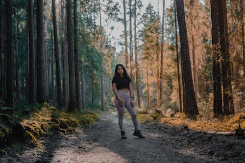 Free stock photo of active wear, forest, forest path