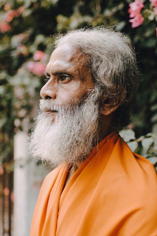 Portrait of an Elderly Monk with Gray Hair