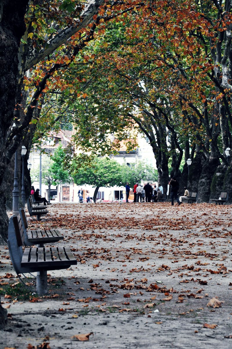 Professional gardener trimming bushes in a suburban yard.