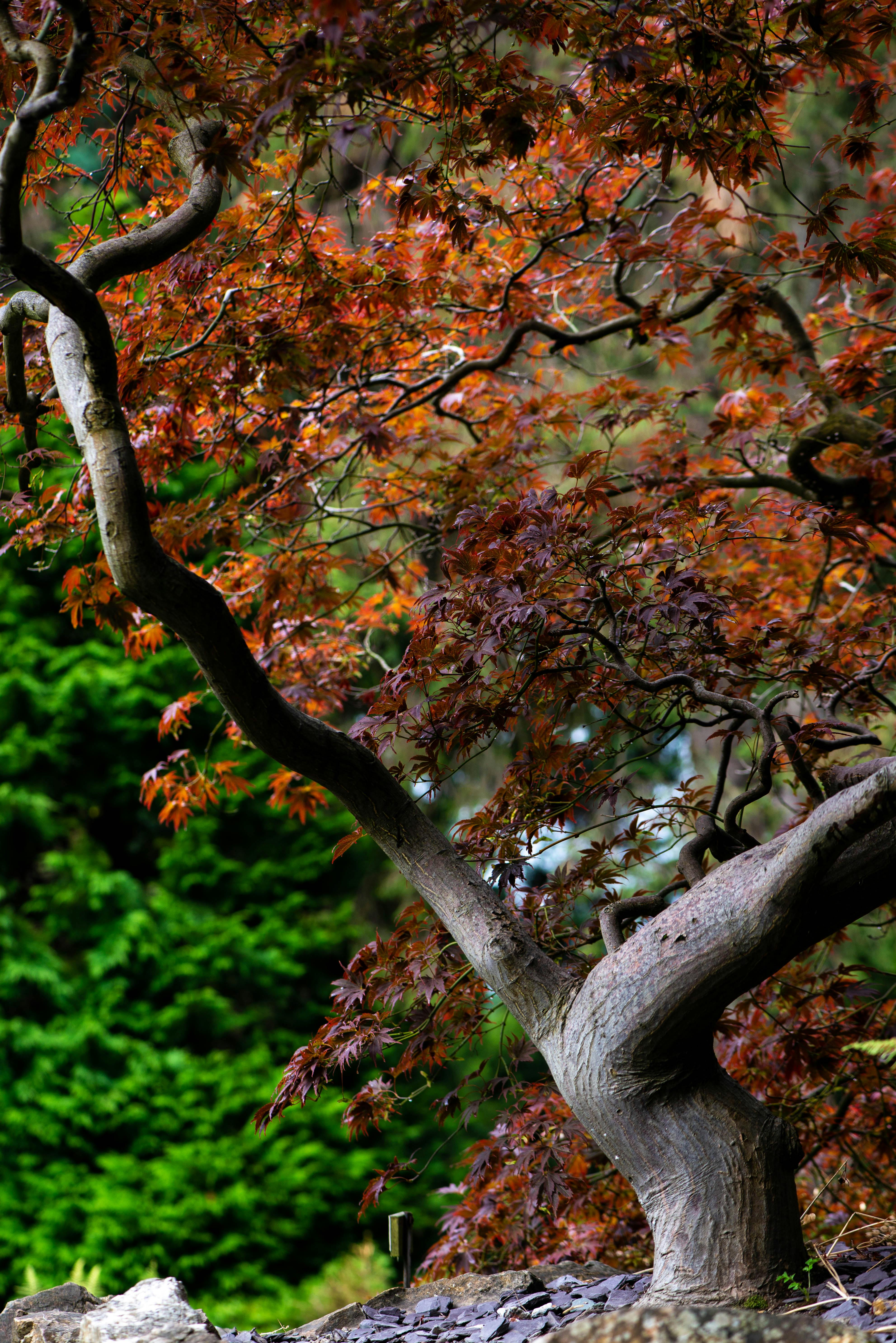 Organized study desk with stationery, laptop, and color-coded notes