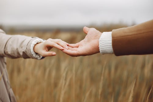 Crop anonymous man and woman touching hands of each other against blurred golden field
