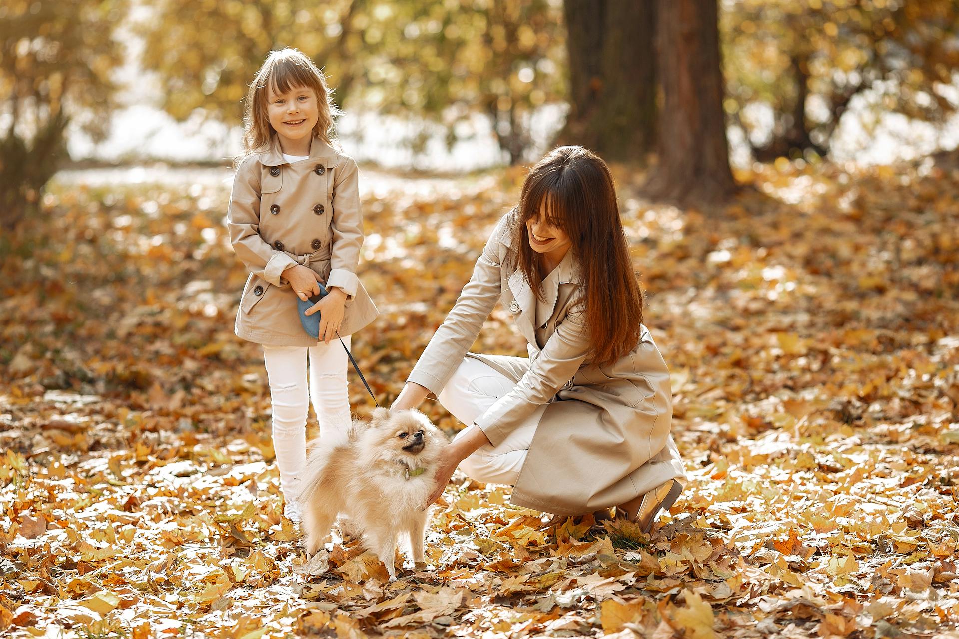 Full length of cheerful young stylish woman stroking cute Pomeranian Spitz while strolling with hap daughter in autumn park on sunny day