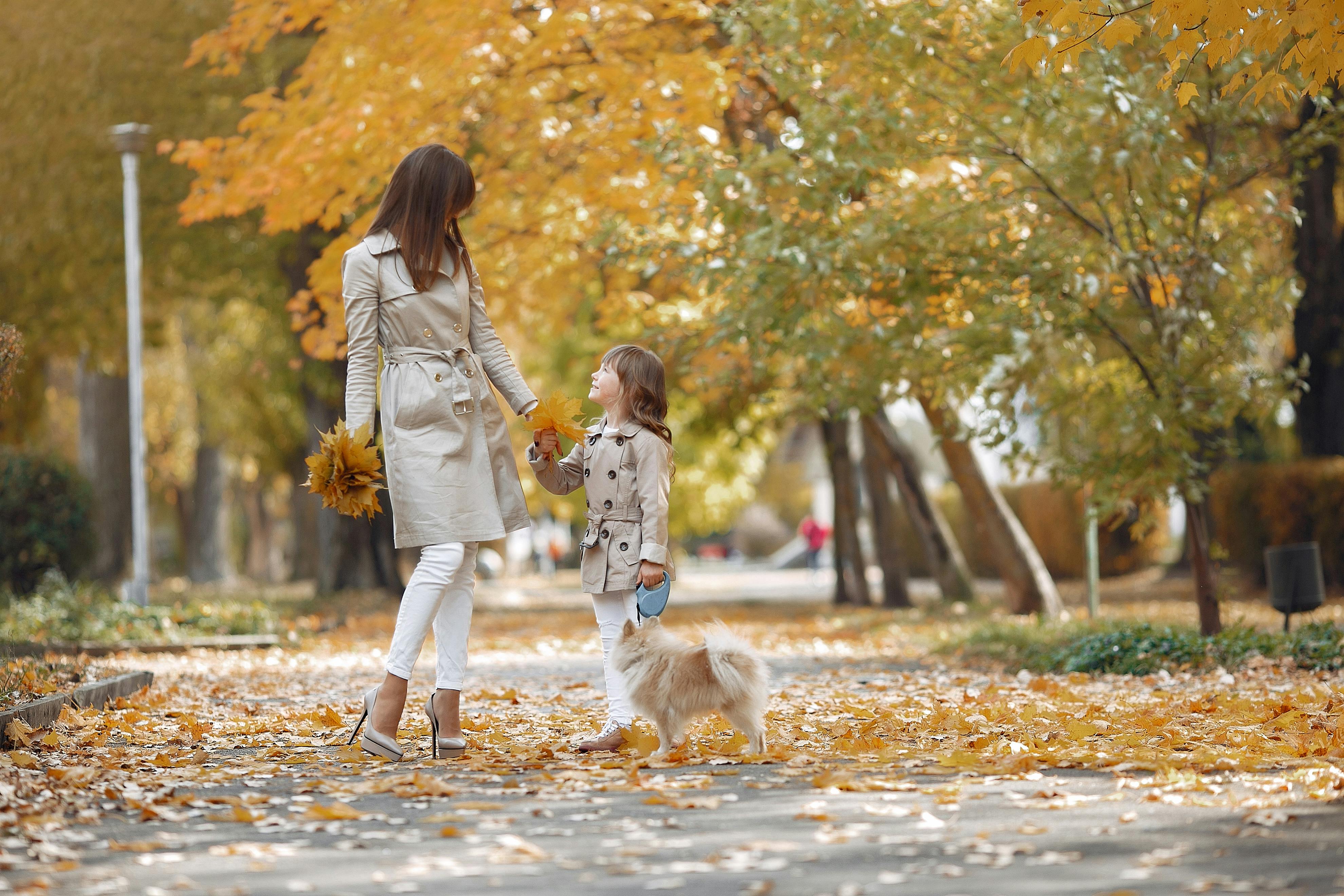 Full body of positive stylish mother and daughter looking at each other while strolling with cute Spitz dog in sunny autumn park