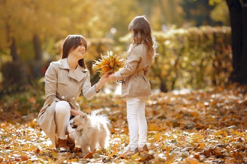 Cute girl presents maple leaves bouquet to mother in park