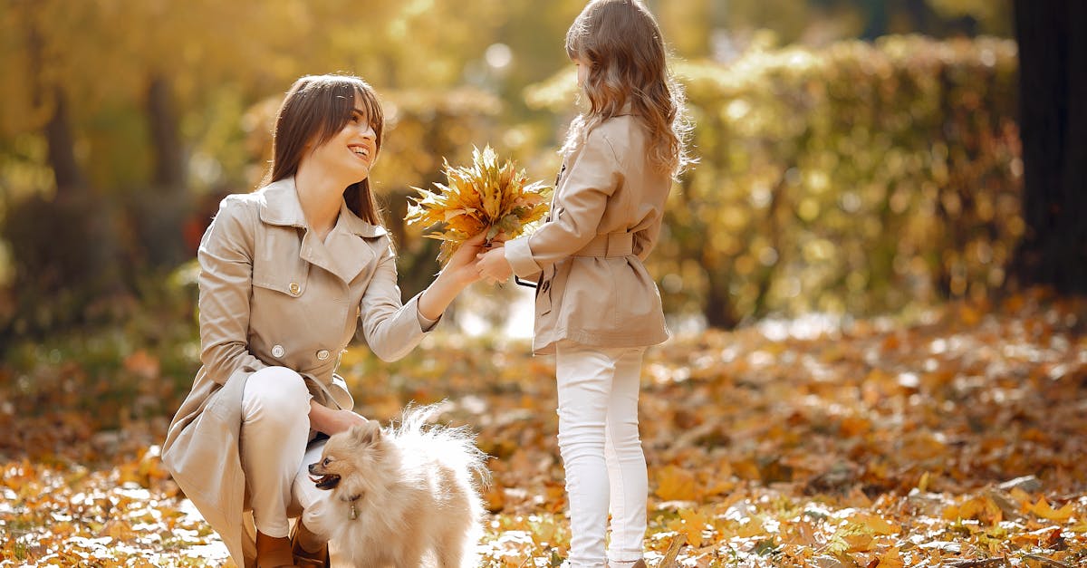 Cute girl presents maple leaves bouquet to mother in park