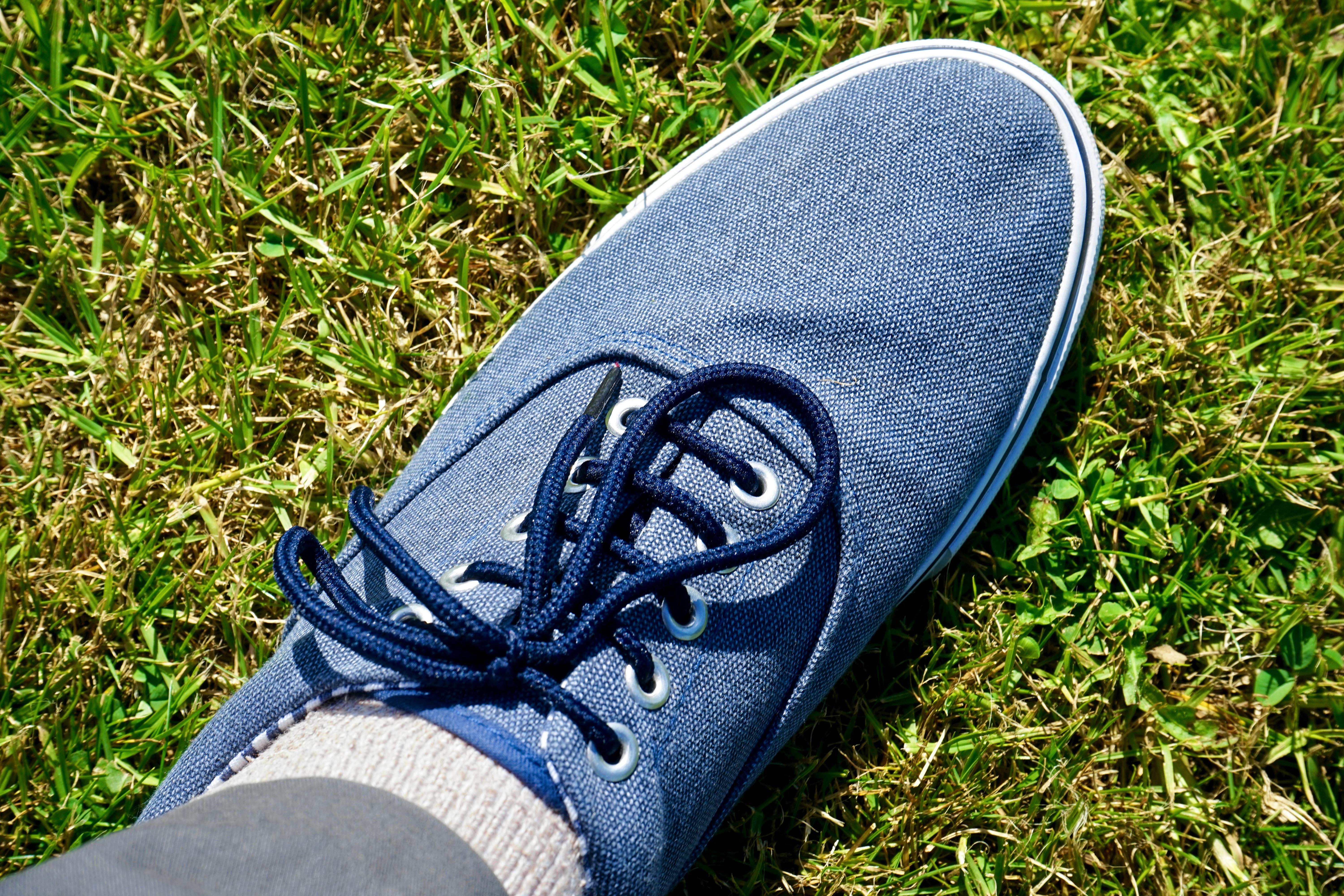 Person Wearing Blue Lowtop Sneaker · Free Stock Photo