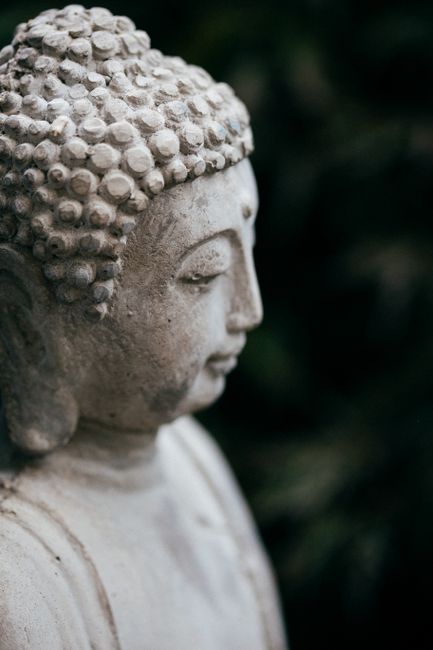 Peaceful close-up of a Buddha statue outdoors, symbolizing spirituality and tranquility.