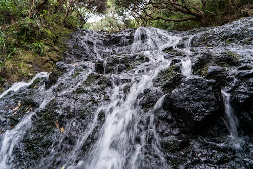 水, 瀑布 的 免费素材图片