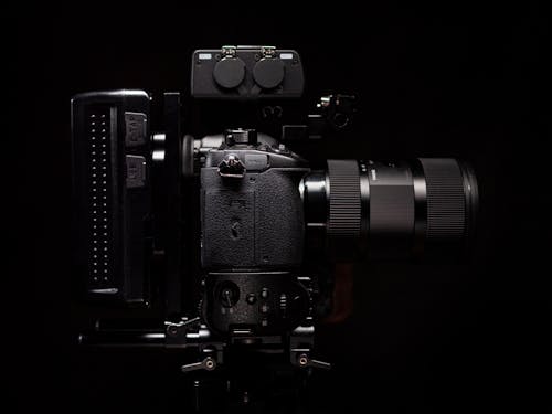 Ảnh lưu trữ miễn phí về cận cảnh, dslr, kỹ thuật số