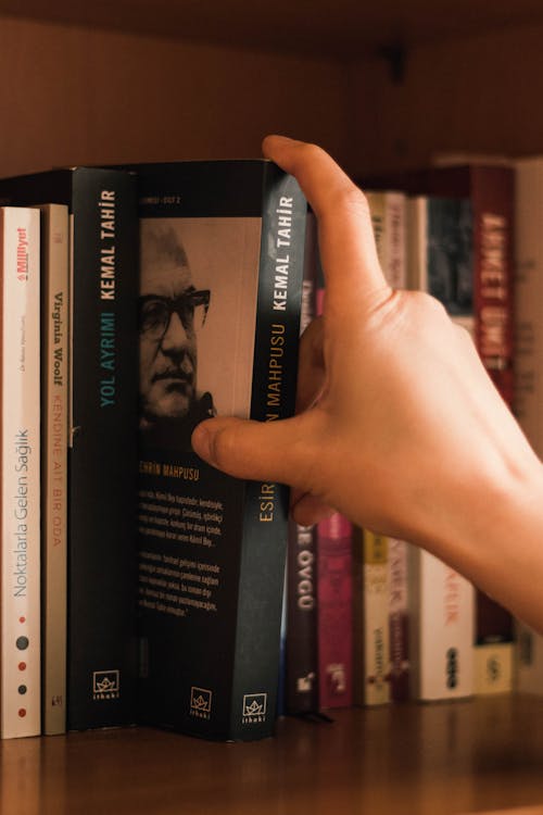 Unrecognizable person pulling black book up from shelf in opened wooden closet in sunlight