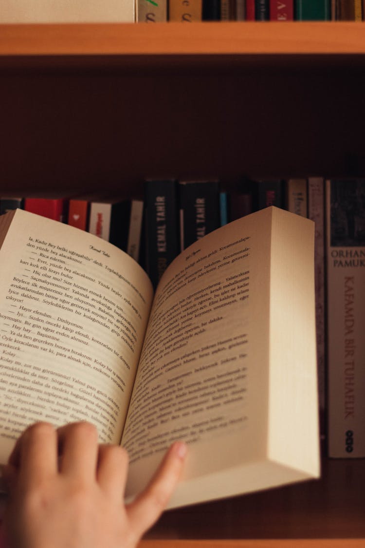 Crop Person Reading Book In Home Library