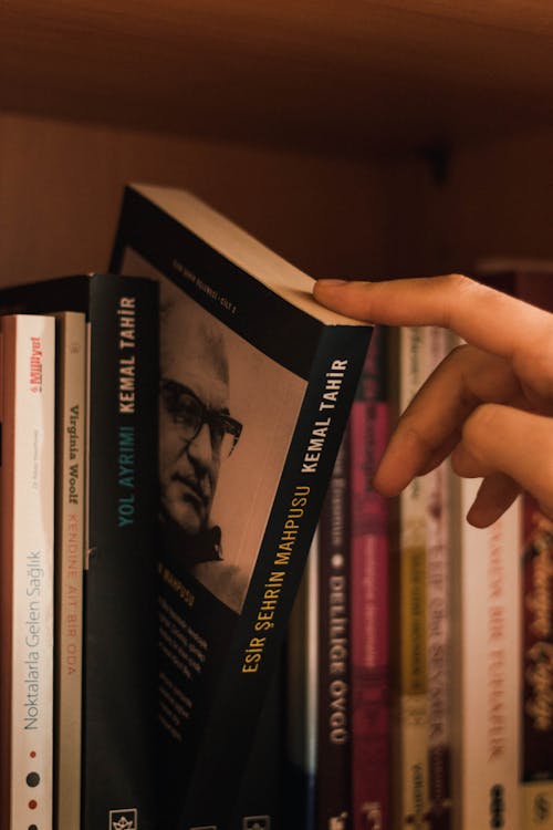 Crop anonymous person selecting book near collection of literature on bookshelf in house