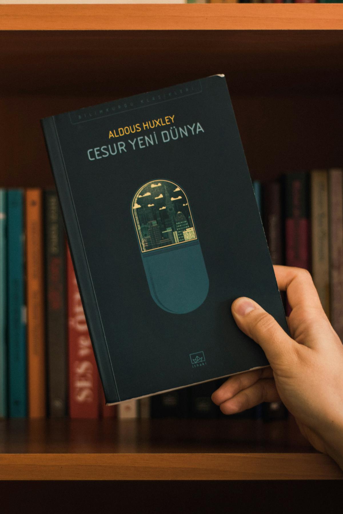 Bookshelf arranged aesthetically with plants and decorative items