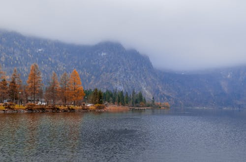 Landscape with Lake and Mountains in Autumn