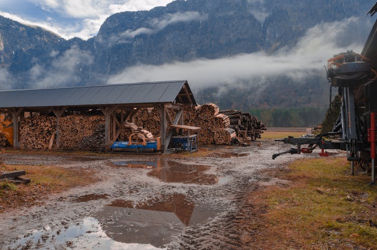 Mountain And Sawmill 