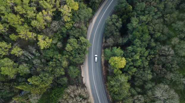 Stunning aerial view of a lone car driving through a forest road in Yizrael, Israel, showcasing the lush greenery.