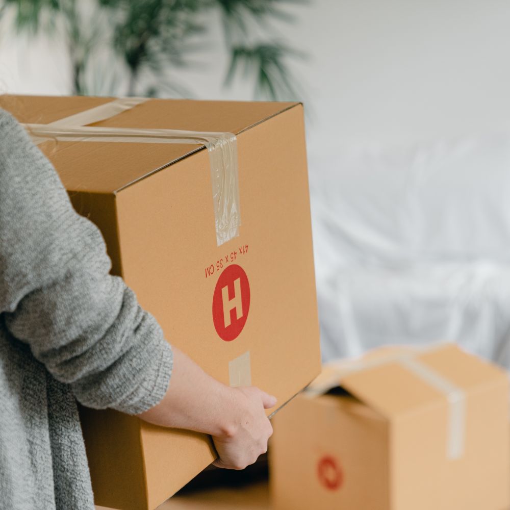 Basingstoke — movers carrying boxes for a flat move