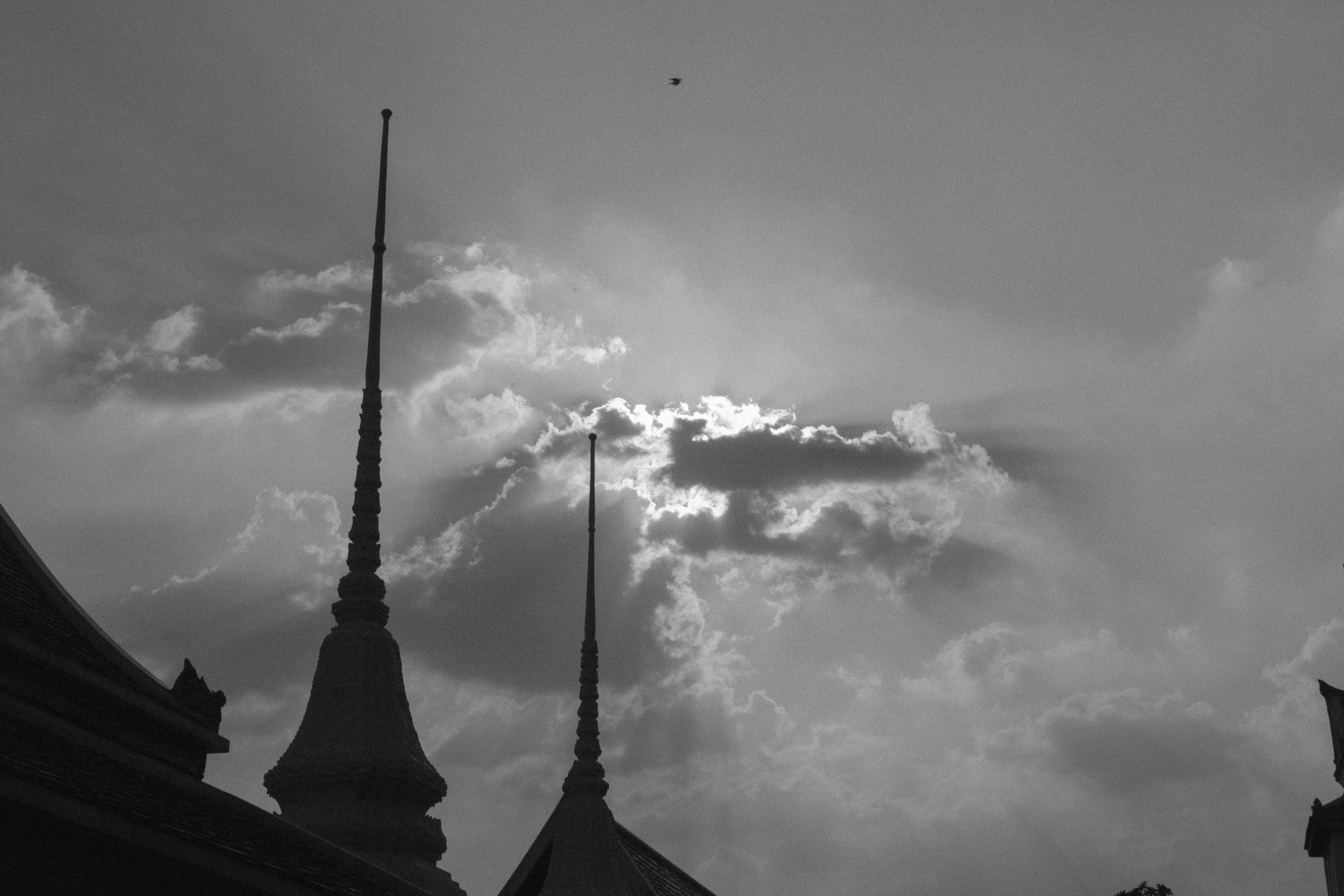 이사 비용 이미지