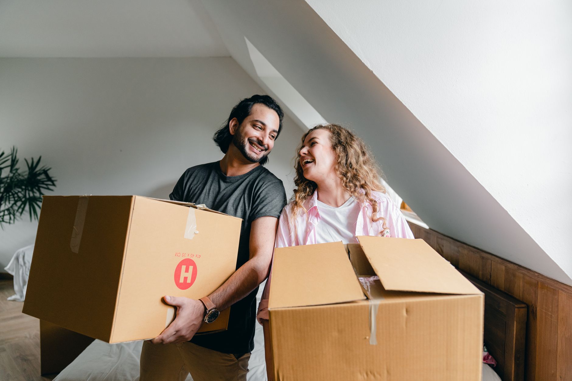 Best New Homeowner Toolkit Under $100 (2026)