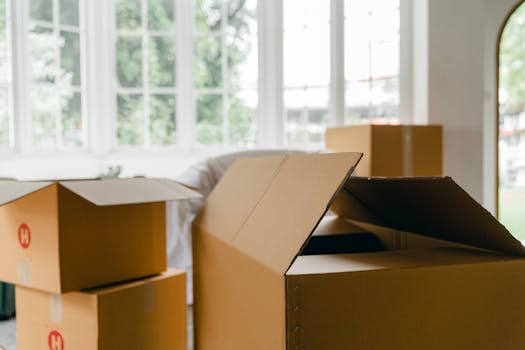 Open cardboard boxes in a spacious room with large windows, ideal for moving or organizing.