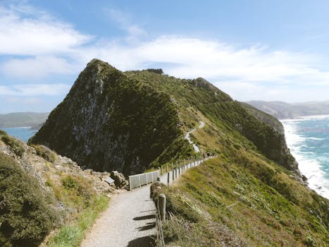 沿着郁郁葱葱的沿海路径探索，可以欣赏到令人惊叹的悬崖，俯瞰充满活力的海洋和晴朗的天空