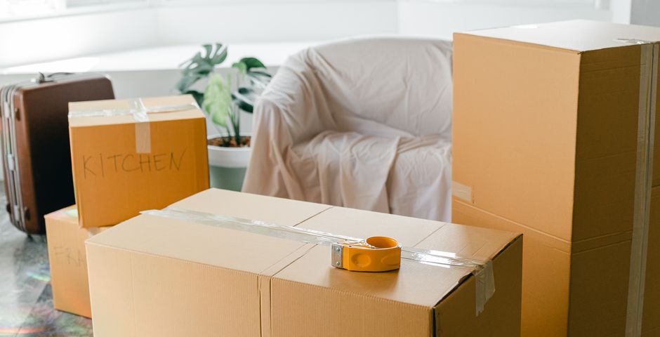 Moving boxes on the floor of a new home — flea pupae left by a previous tenant hatch when you arrive