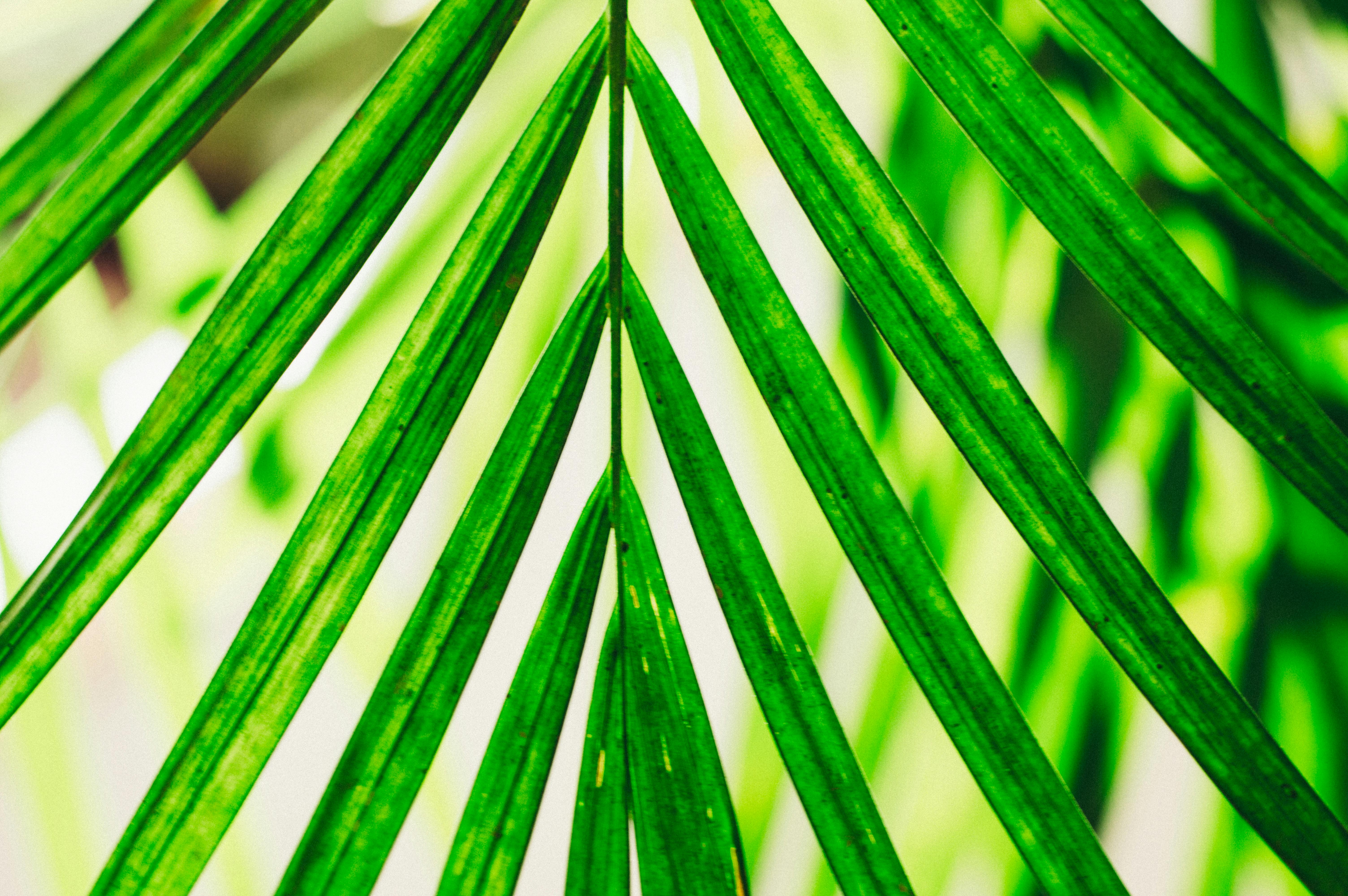 Thẻ tích điểm và thẻ tín dụng