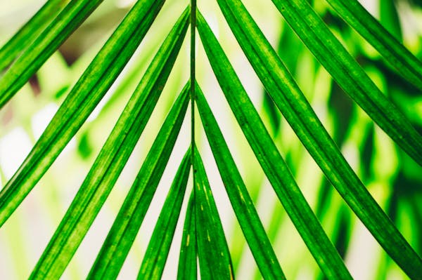 Thẻ tích điểm và thẻ tín dụng