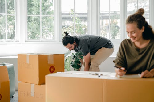 Positive young woman and focused man carrying cardboard boxes in new apartment on moving day