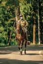 Anonymous male rider in sterile mask and protective helmet riding chestnut stallion on asphalt roadway between growing trees during quarantine period in daylight