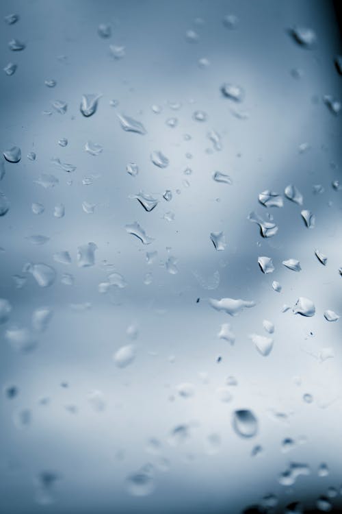 Free stock photo of agua de lluvia, gota de lluvia, gotas de agua