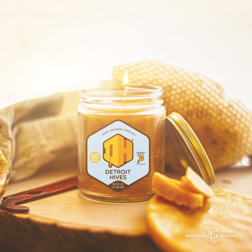 Kostnadsfri bild av bikupor, bin, biodling